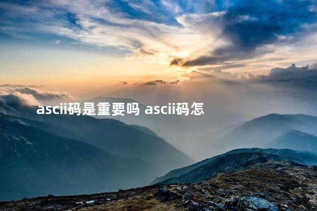 ascii码是重要吗 ascii码怎么理解